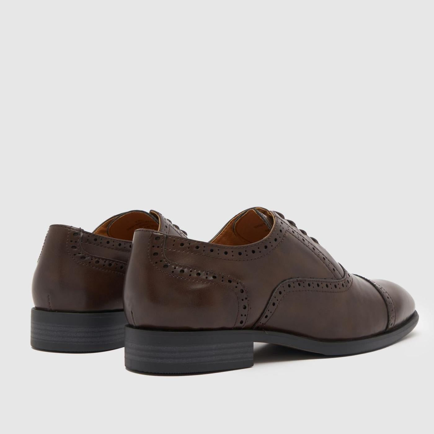 Ronan Square Toe Brogue in Brown